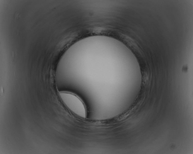 X0000094060470200710190937