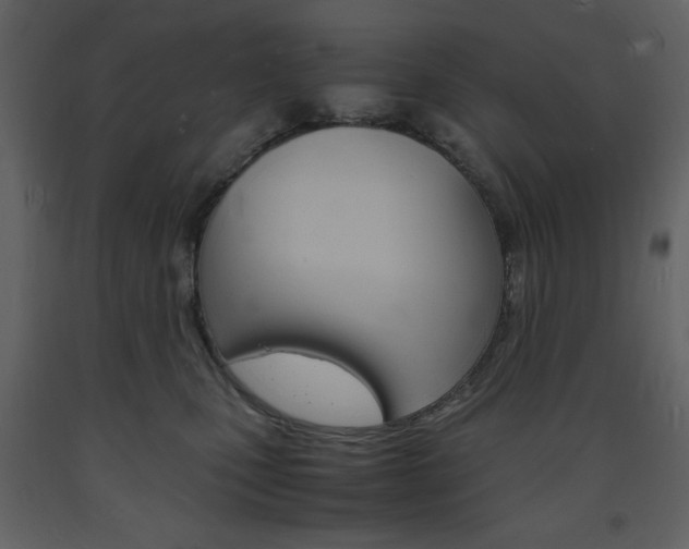 X0000094060471200710190937