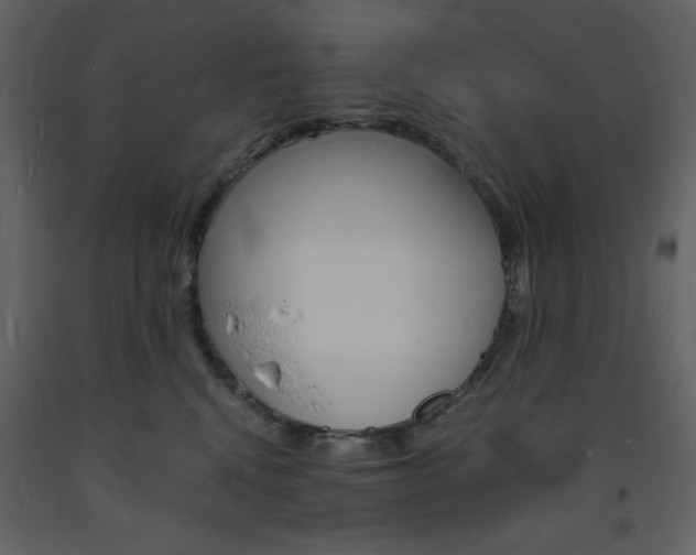X0000094060472200710190937