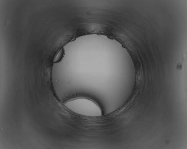 X0000094060473200710190937