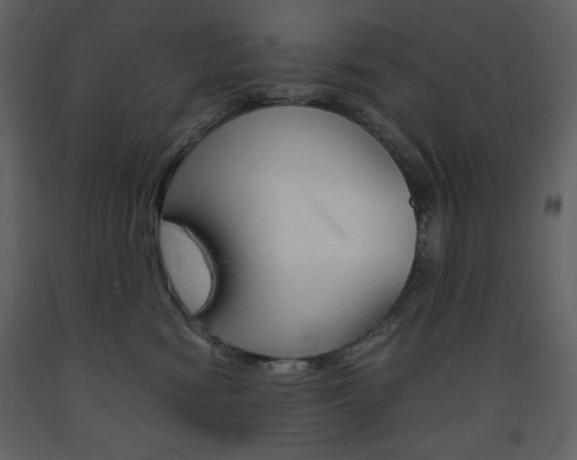 X0000094060474200710190937