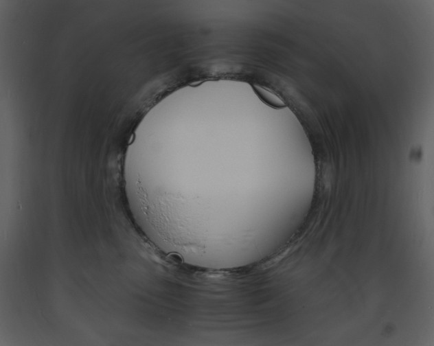 X0000094060475200710190937