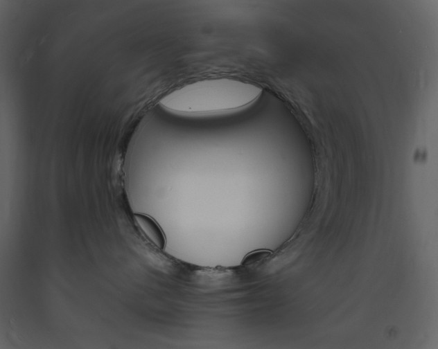 X0000094060480200710190937