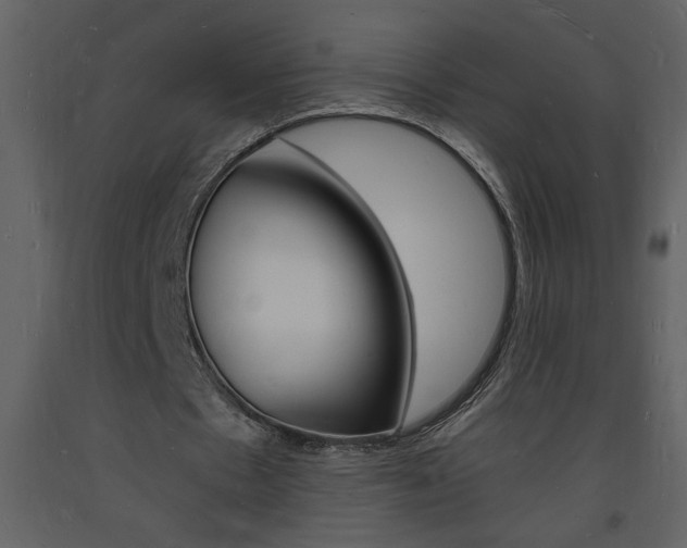 X0000094060481200710190936