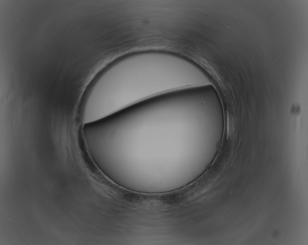 X0000094060483200710190936