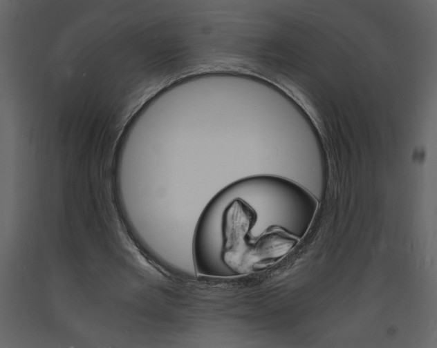 X0000094060485200710190936