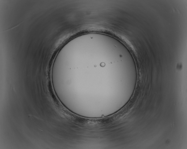 X0000094060487200710190936