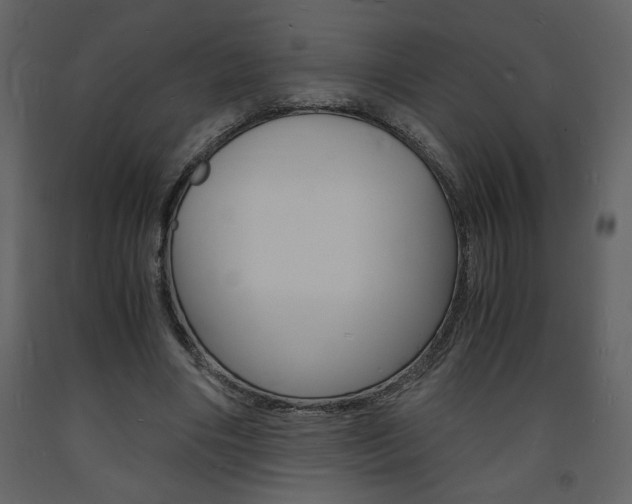 X0000094060490200710190936