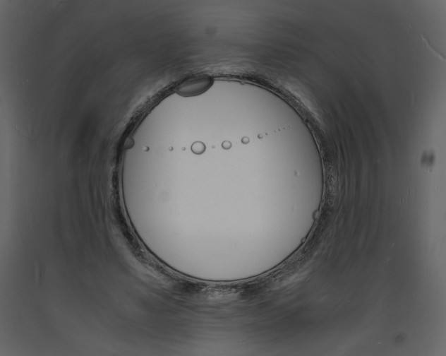 X0000094060491200710190936