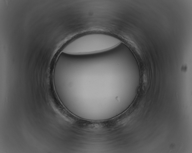 X0000094060492200710190936