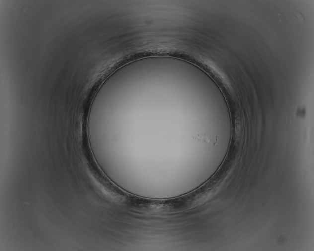X0000094060493200710190936