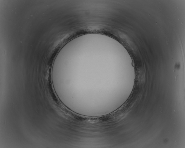 X0000094060495200710190936