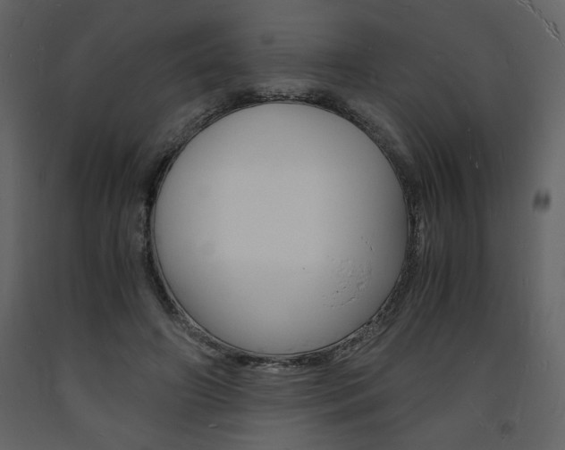 X0000094060498200710190936