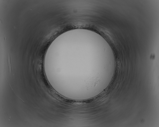 X0000094060499200710190936