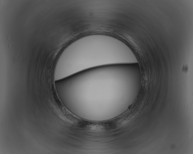 X0000094060500200710190936