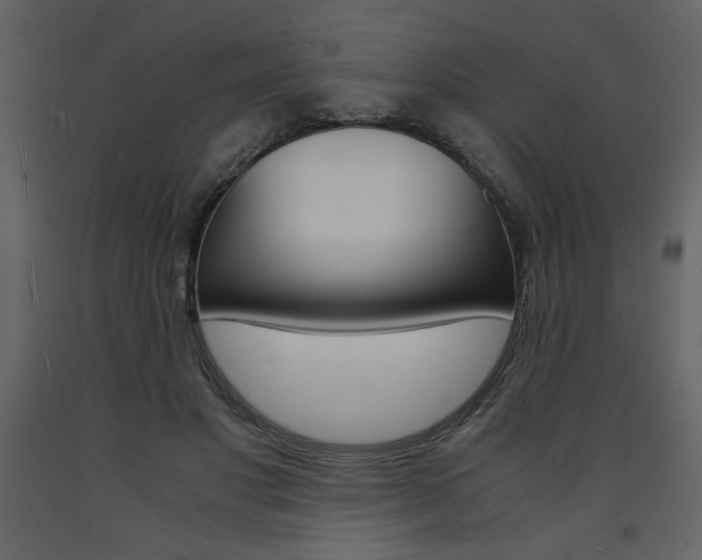 X0000094060501200710190936