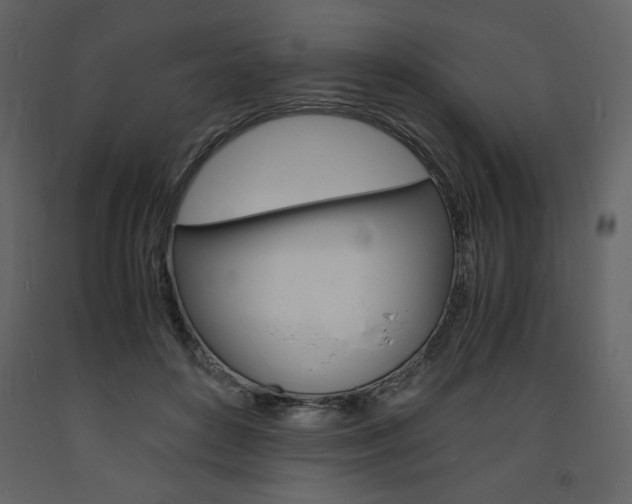 X0000094060504200710190936