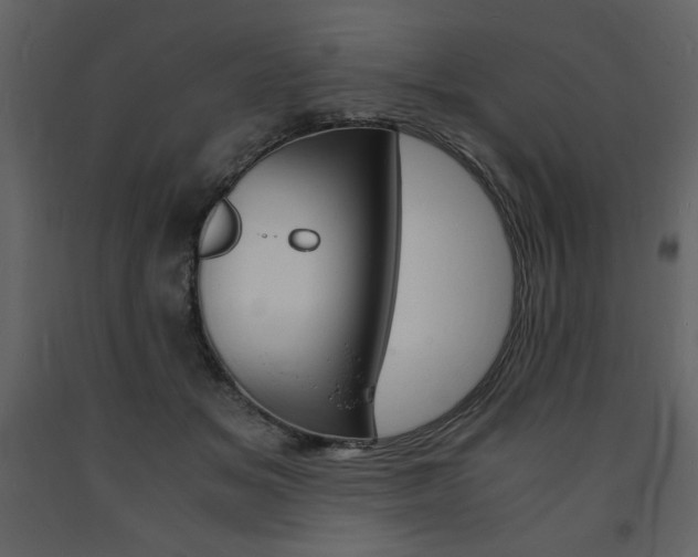 X0000094060509200710190936