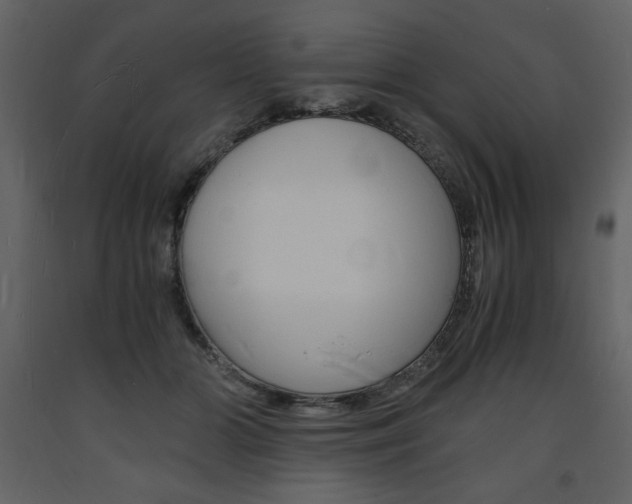 X0000094060510200710190936