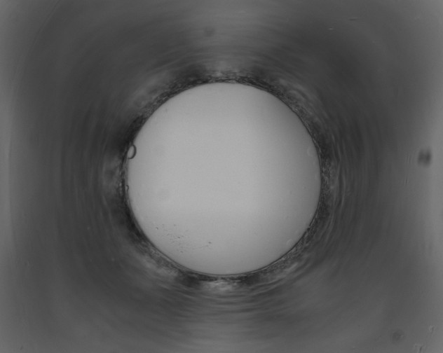 X0000094060511200710190936