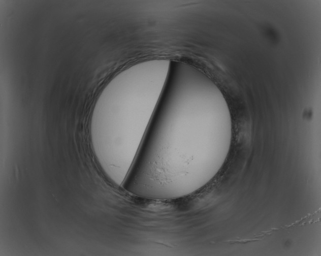 X0000094060515200710190936