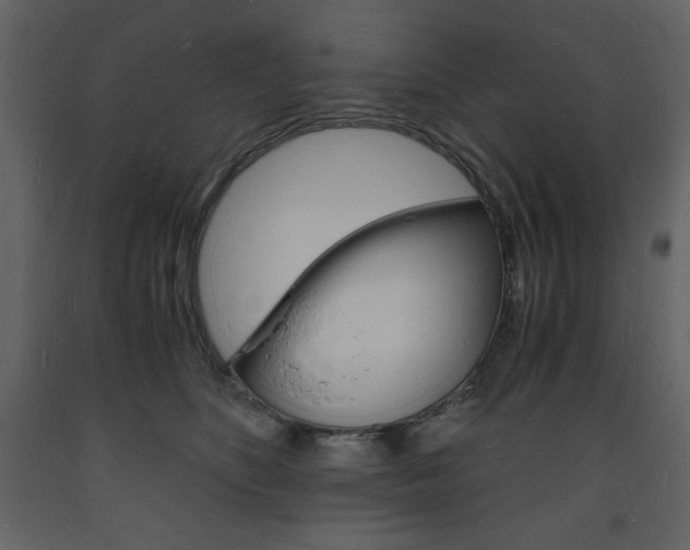 X0000094060516200710190936