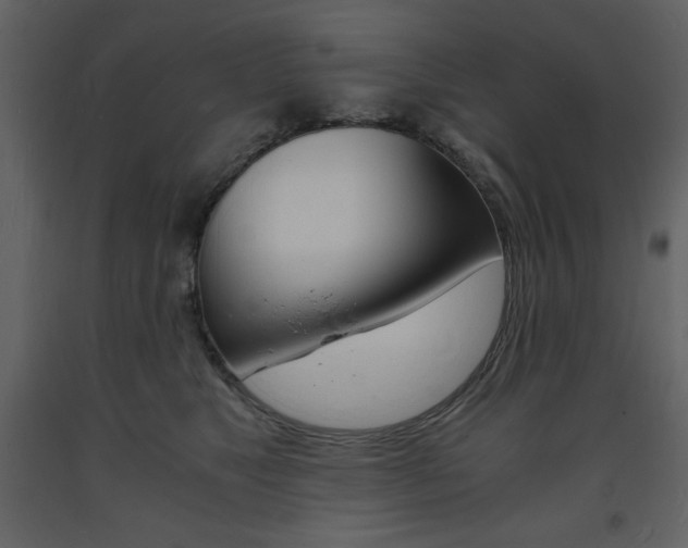 X0000094060517200710190936