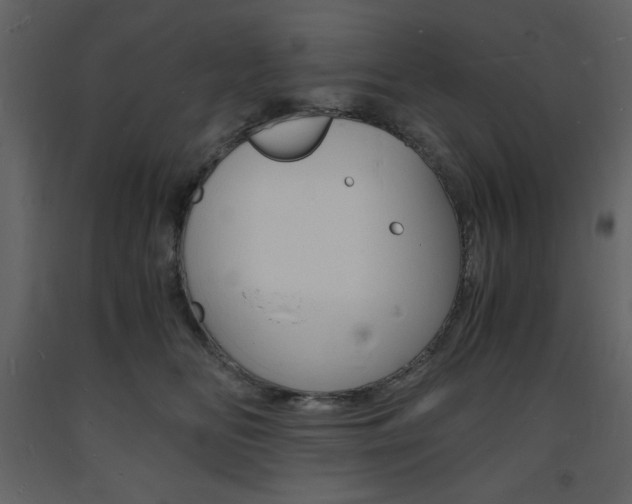 X0000094060518200710190936