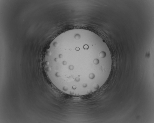 X0000094060519200710190936