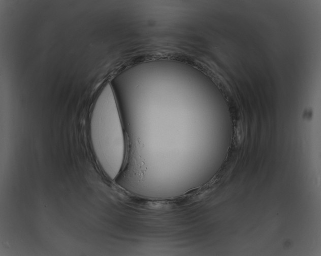 X0000094060520200710190936