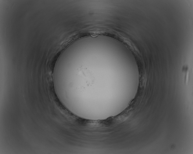 X0000094060521200710190936
