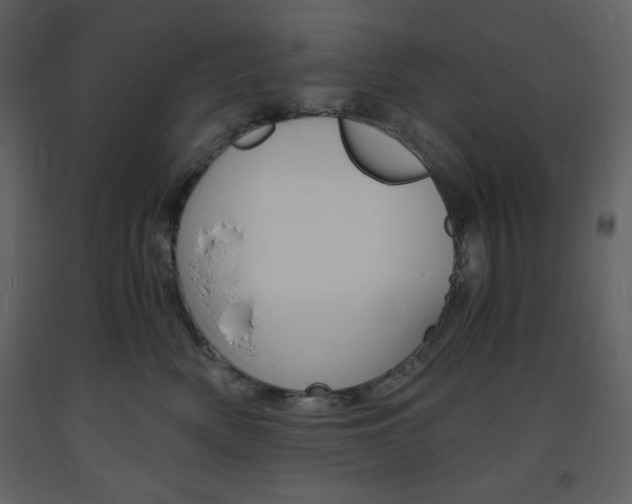 X0000094060522200710190936