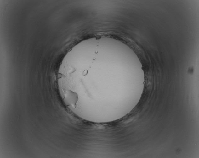 X0000094060523200710190936