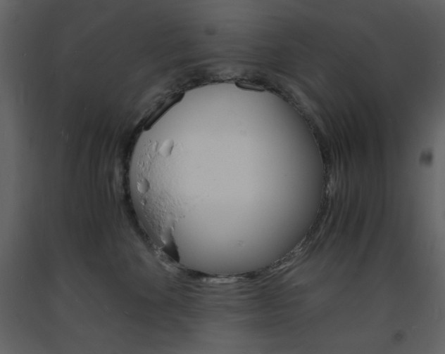 X0000094060524200710190936