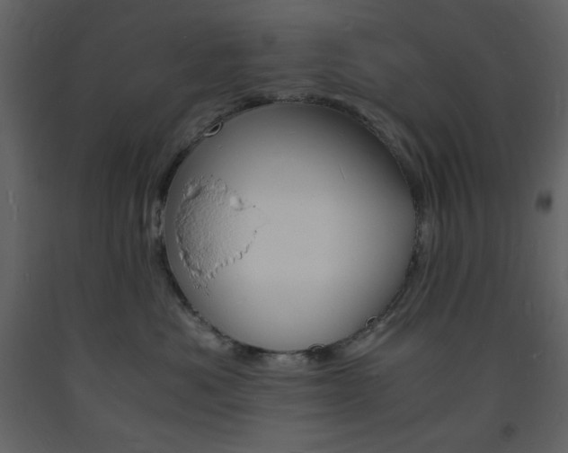 X0000094060525200710190936