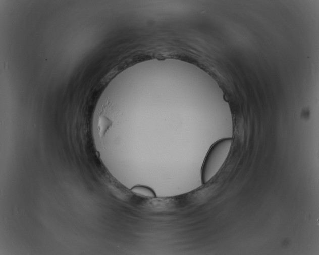 X0000094060526200710190936