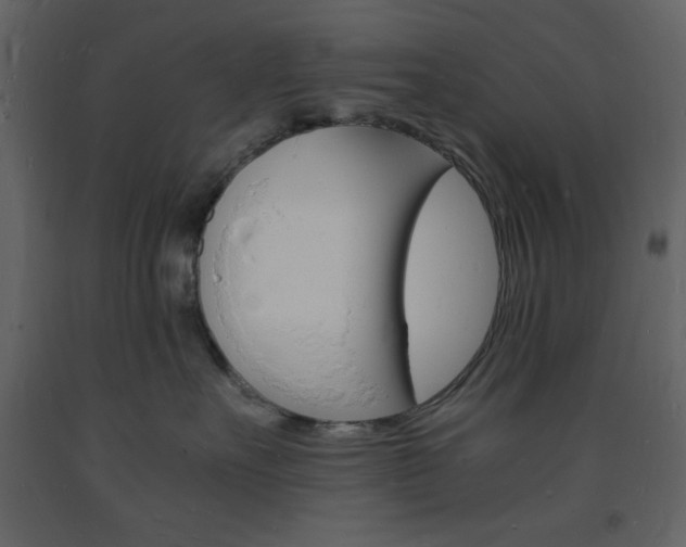 X0000094060527200710190936