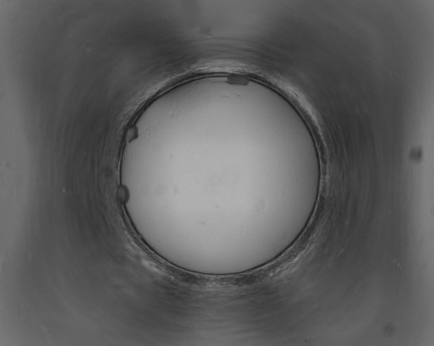 X0000094060529200710190935