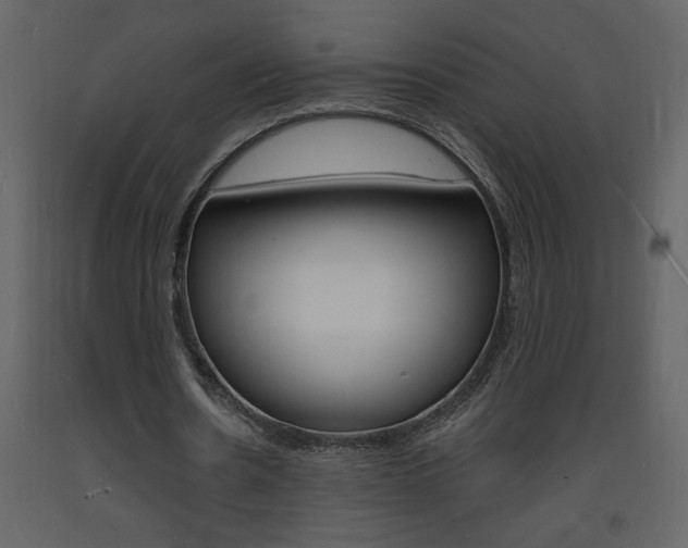 X0000094060530200710190935