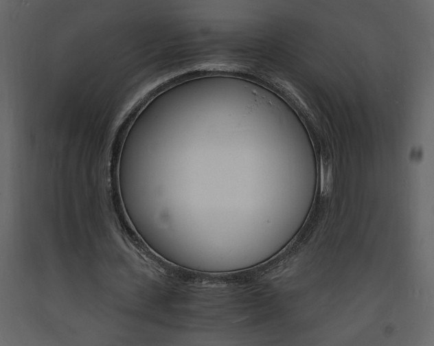 X0000094060531200710190935