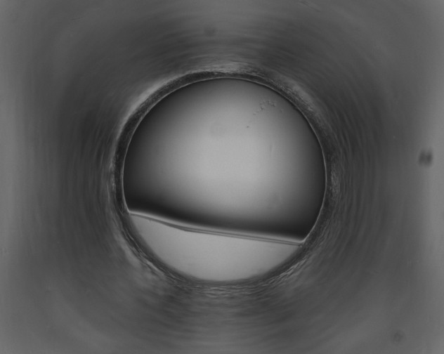 X0000094060532200710190935