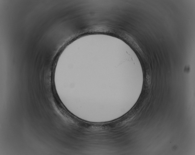 X0000094060534200710190935