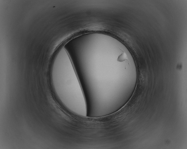 X0000094060535200710190935