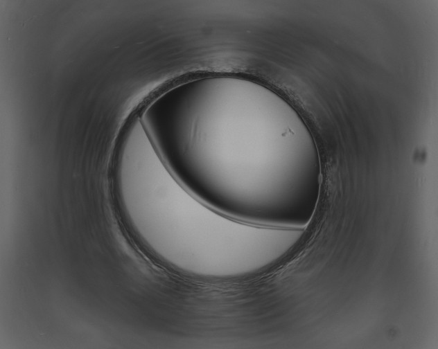 X0000094060536200710190935