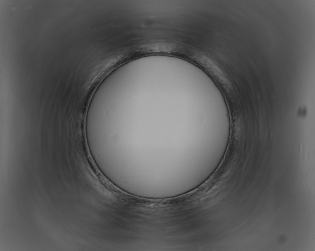 X0000094060537200710190935