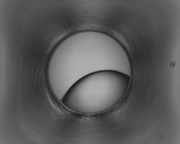X0000094060538200710190935