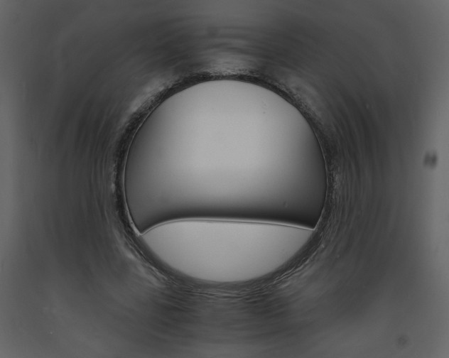 X0000094060539200710190935