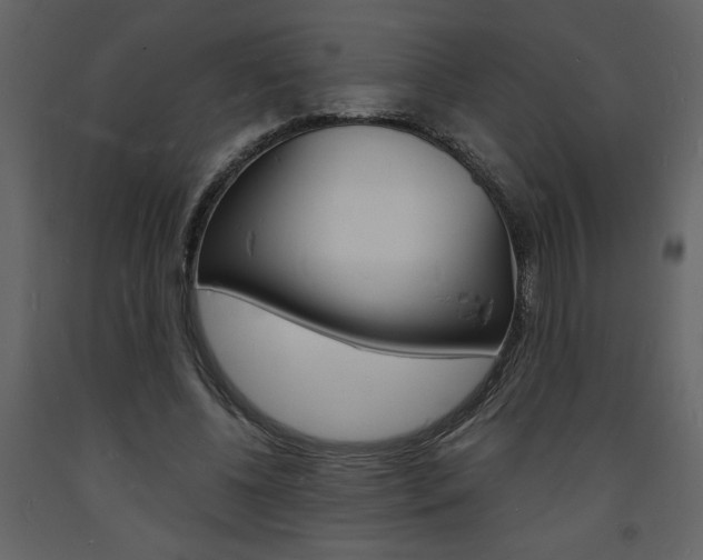 X0000094060540200710190935