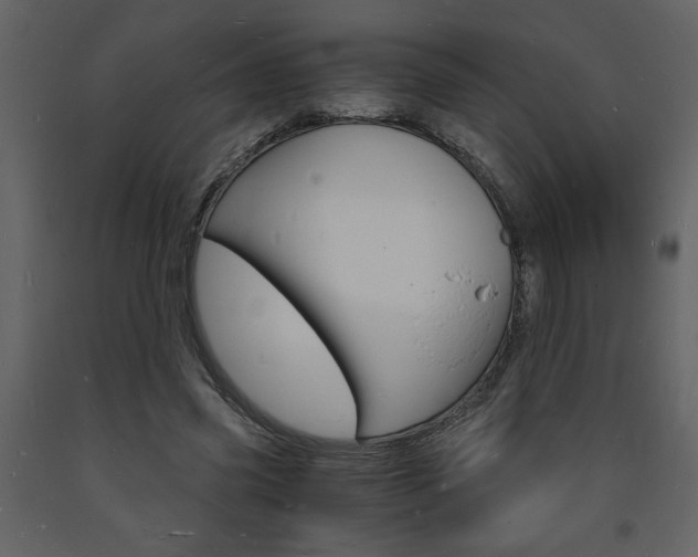 X0000094060541200710190935