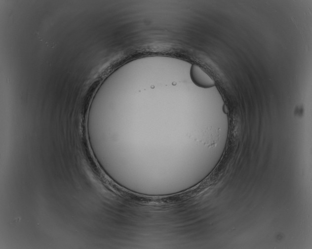 X0000094060542200710190935